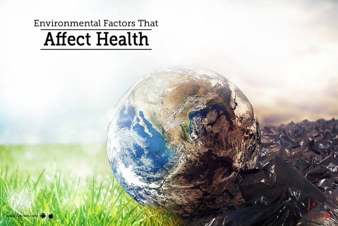 How Our Environment Affects Our Health